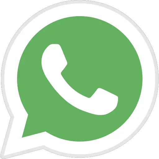 gem whatsapp videoopkald